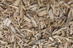 biomass boilers Kings Thorn